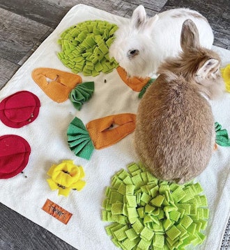 Tokihut Rabbit Foraging Mat