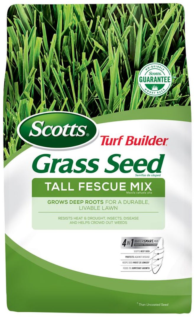 Scotts Turf Builder Grass Seed Tall Fescue Mix, 3 lbs., up to 750 sq. ft.