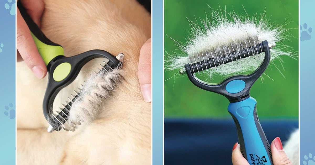 The 5 Best Undercoat Rakes