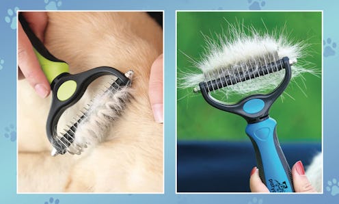 Best Undercoat Rakes