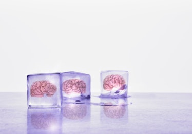 Brain frozen in ice cubes