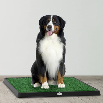 PETMAKER Artificial Grass Puppy Pad 