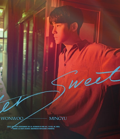 Seventeen's Mingyu and Wonwoo's "Bittersweet"