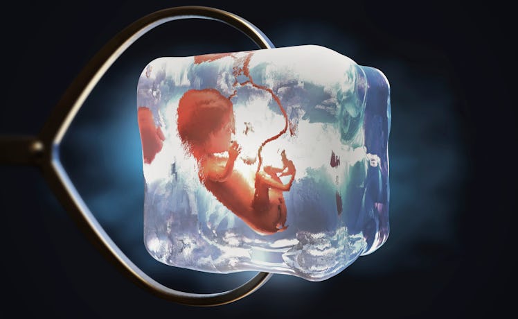 Fetus in ice