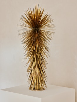 Luna Paiva's “Yucca” placed on a white surface