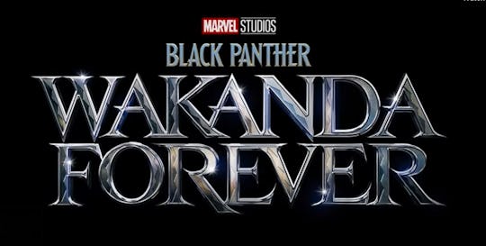 Will there be a Black Panther 3? Everything we know so far