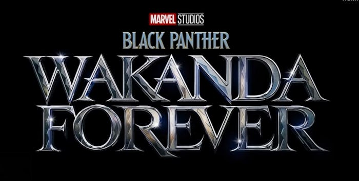 'Black Panther: Wakanda Forever'  premieres July 8, 2022.