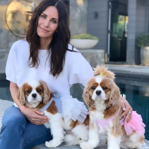 Courteney Cox turkey burger