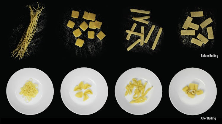 flat-packed pasta transforms into 3d shapes