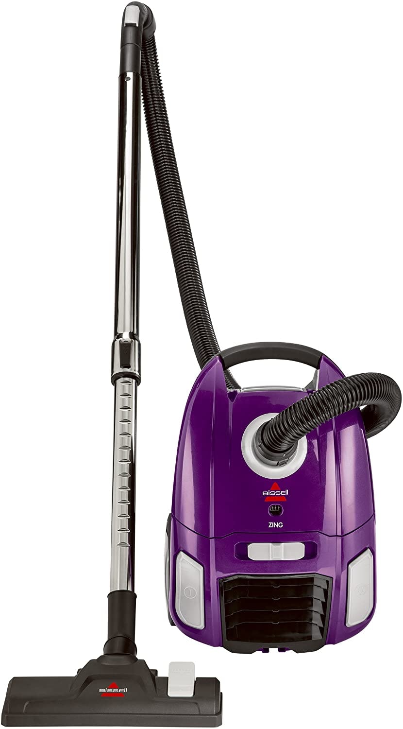 The 6 Best Bagged Vacuums