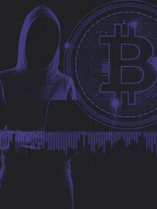 Bitcoin Cryptocurrency Fraud