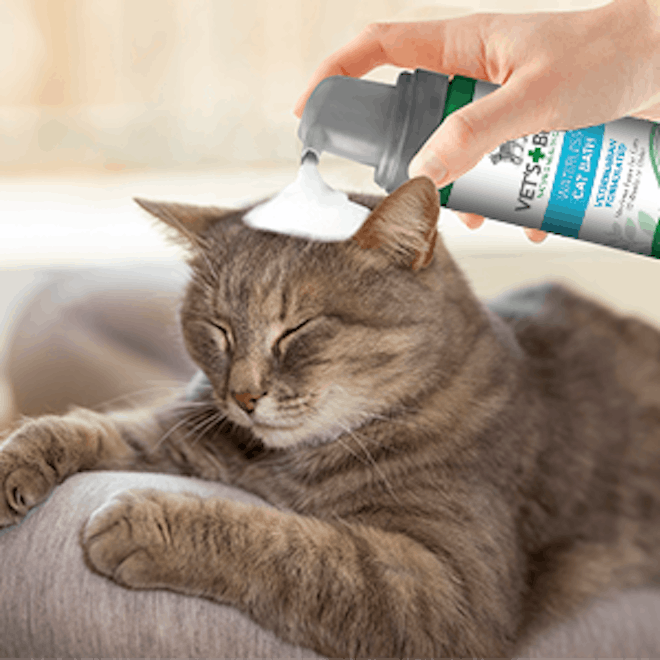 Vet's Best Waterless Cat Shampoo