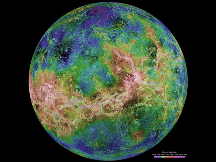 The hemispheric view of Venus, as revealed by more than a decade of radar investigations culminating...