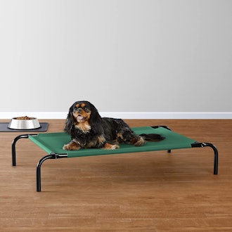 Amazon Basics Cooling Elevated Pet Bed