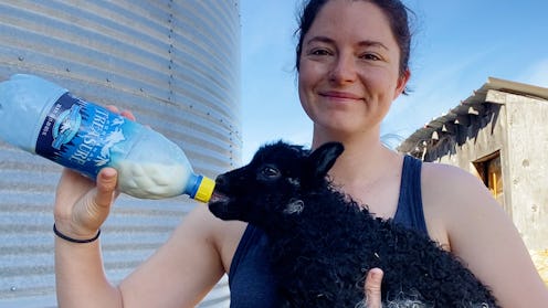 Caroline Reese Nelson feeding a small black sheep with milk
