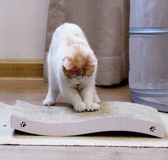 Coching Cat Scratcher