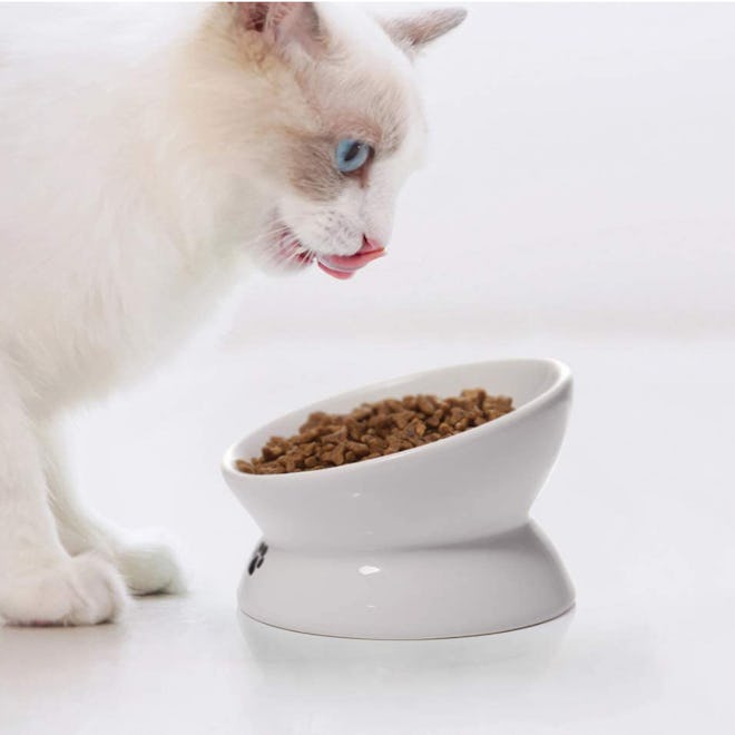 Y YHY Raised Cat Food Bowl