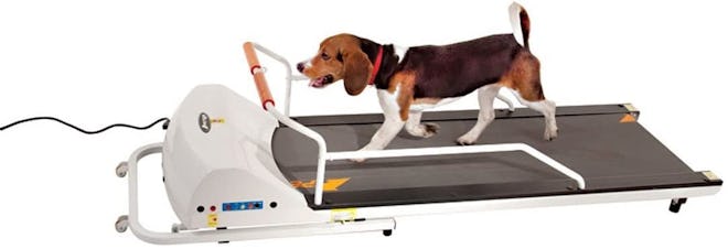 GOPET PetRun Dog Treadmill