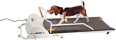 GOPET PetRun Dog Treadmill