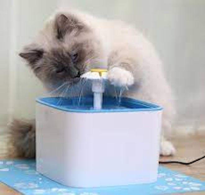 Veken Pet Water Fountain