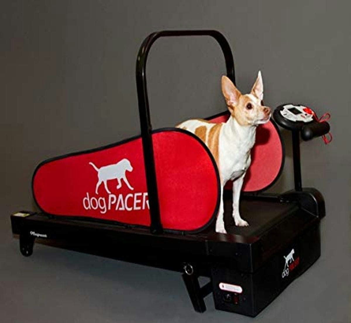 The 4 Best Dog Treadmills