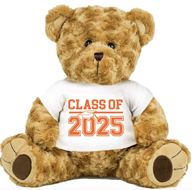 Class of 2025 Teddy Bear