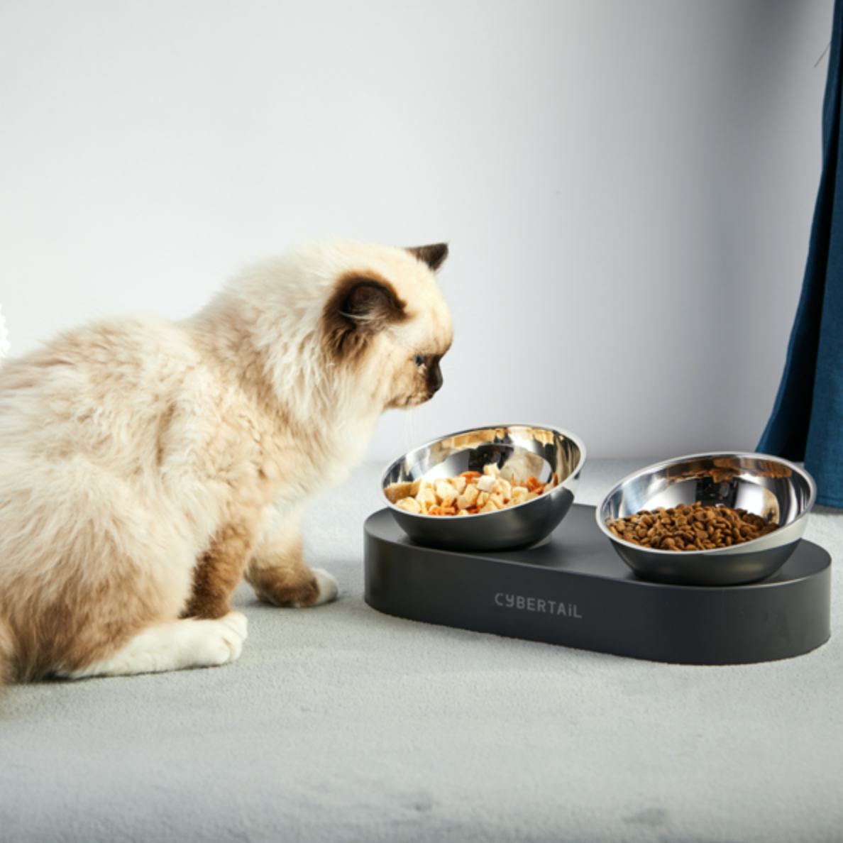 The 7 Best Cat Bowls