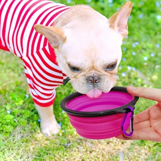 SLSON Collapsible Pet Bowls (2-Pack)