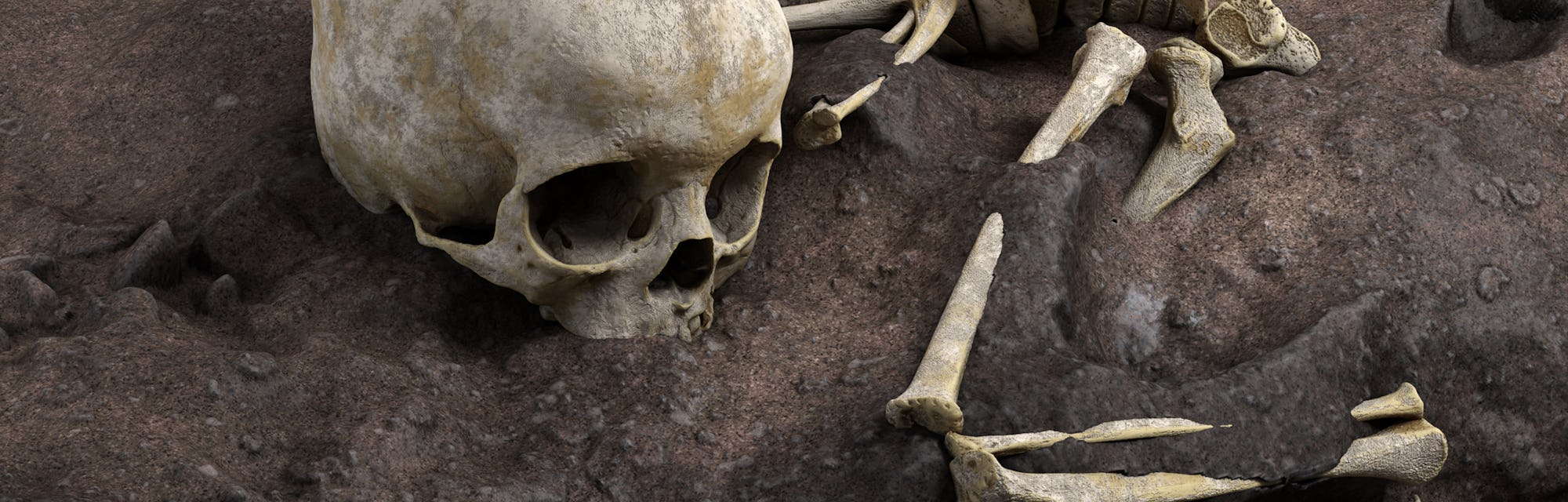 Virtual ideal reconstruction of Mtoto’s position in the burial pit