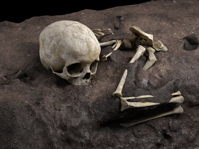 Virtual ideal reconstruction of Mtoto’s position in the burial pit   
