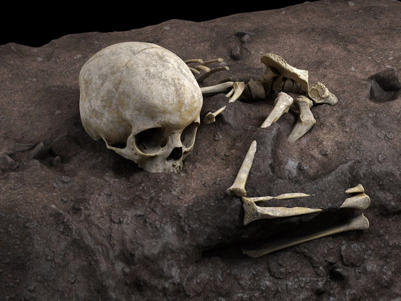 Virtual ideal reconstruction of Mtoto’s position in the burial pit