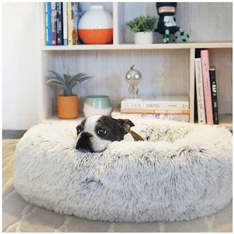 Best Friends by Sheri Calming Pet Bed