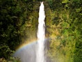 Best Vacation Spot: Akaka Falls on the Big Island of Hawaii