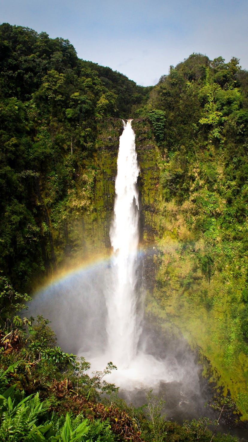 Best Vacation Spot: Akaka Falls on the Big Island of Hawaii