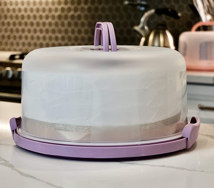 Top Shelf Elements Cake Carrier 