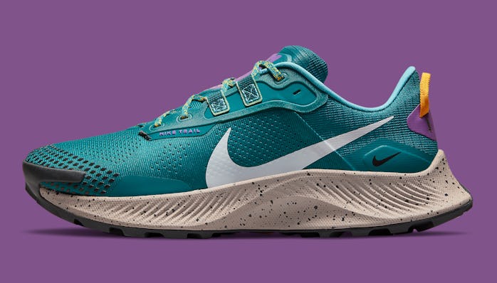 Nike Pegasus Trail 2