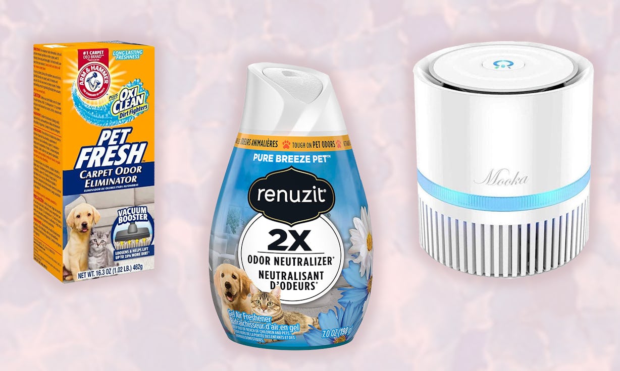 The 9 Best Air Fresheners For Pet Odors
