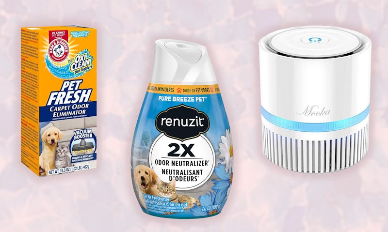 The 9 Best Air Fresheners For Pet Odors