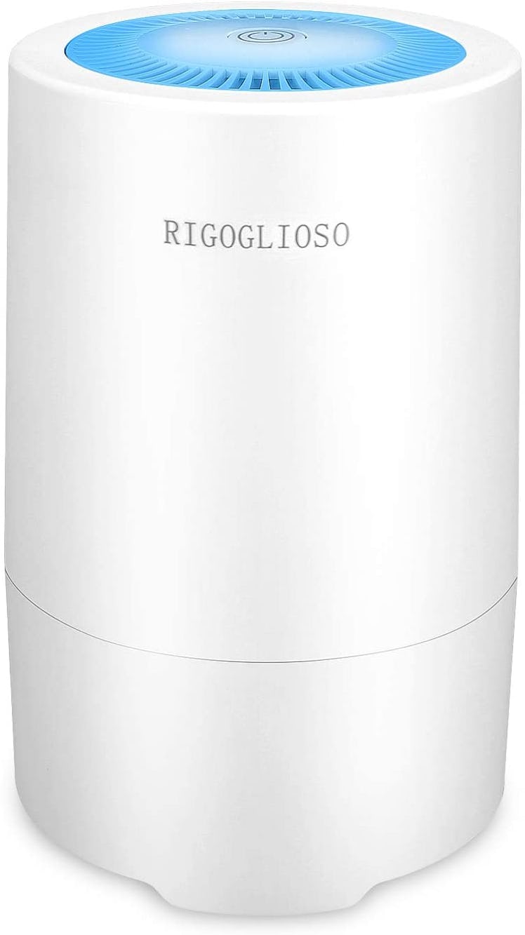 RIGOGLIOSO HEPA Air Purifier 