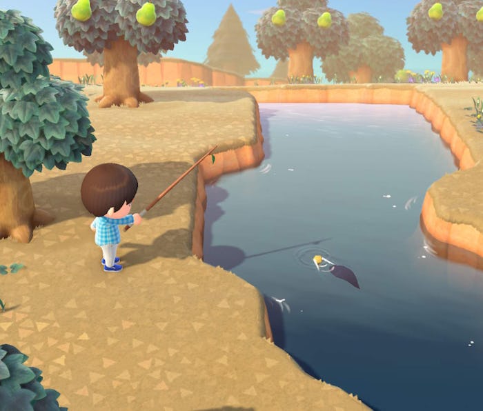 'Animal Crossing' June fish, bugs, and sea creatures Ribbon eel and 33