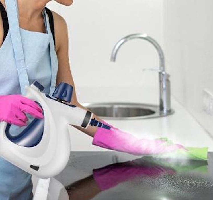 Mosche Handheld Steam Cleaner