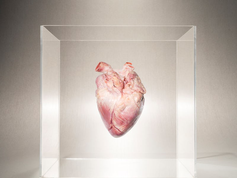 heart in box