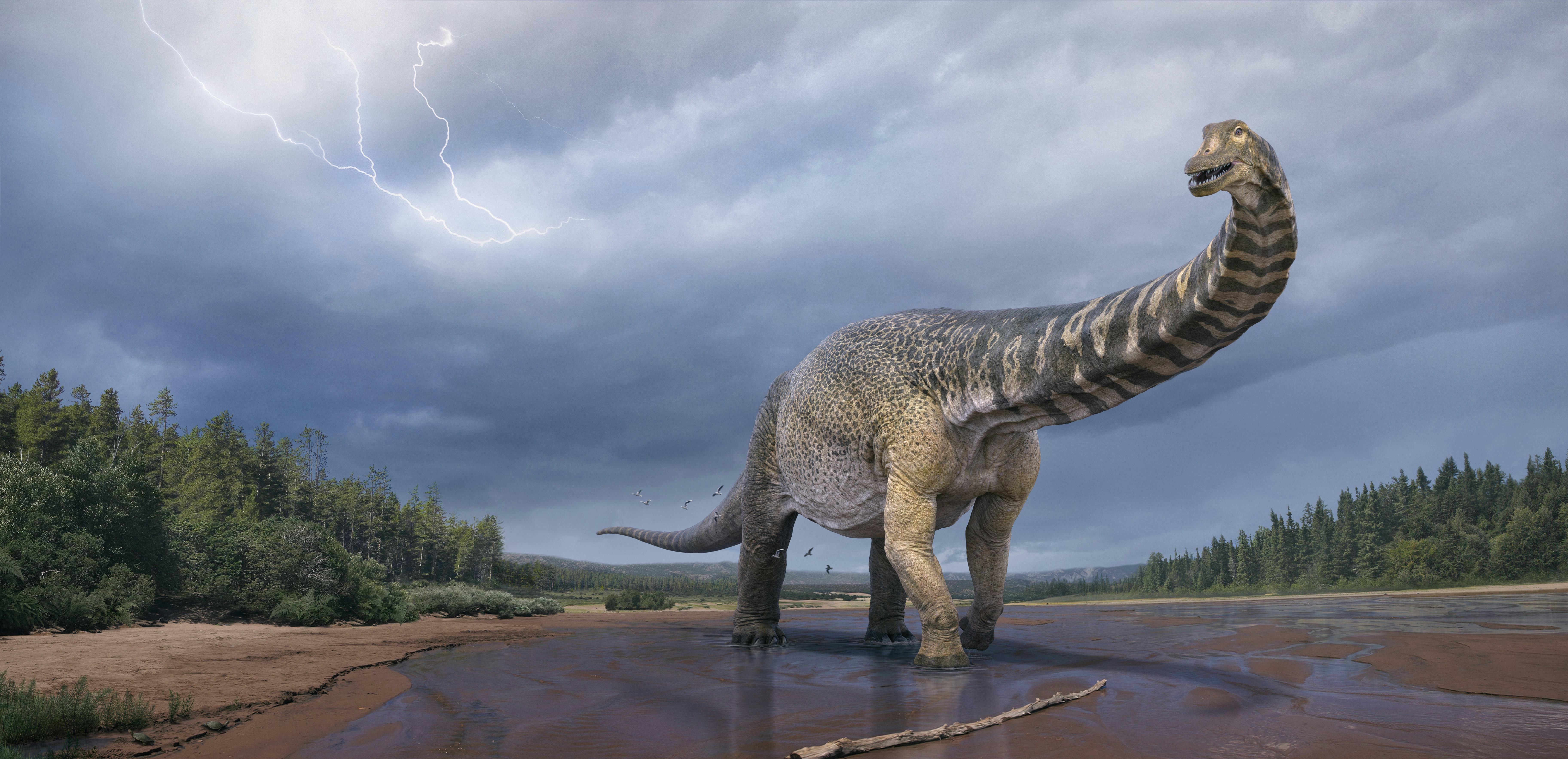 One Of The Biggest Dinosaurs Ever Was Just Discovered In Australia