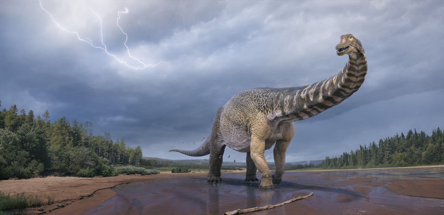 one-of-the-biggest-dinosaurs-ever-was-just-discovered-in-australia