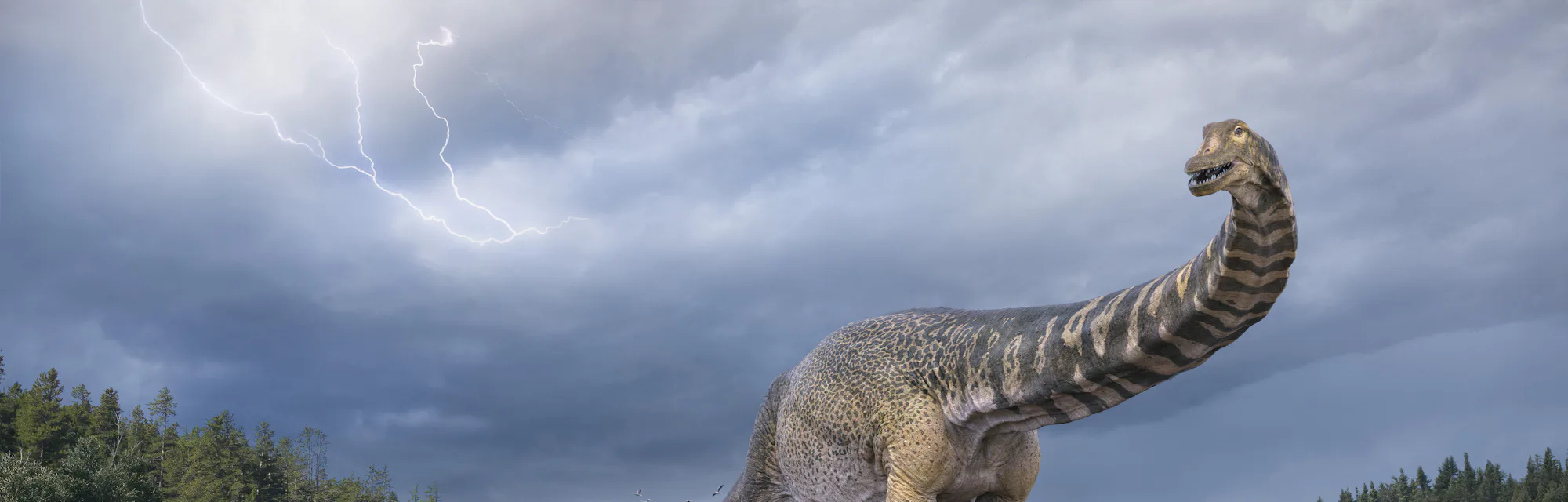 Vlad Konstantinov, Scott Hocknull, Eromanga Natural History Museum, Author provided