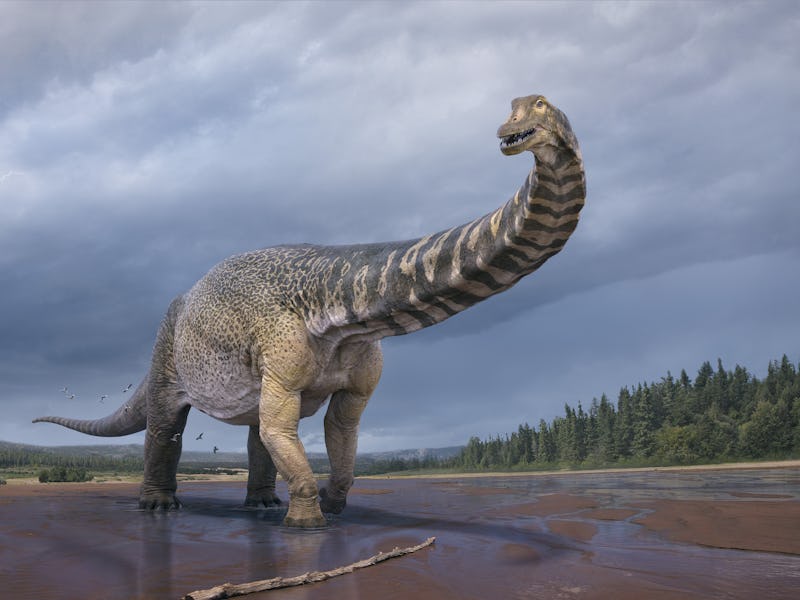 Vlad Konstantinov, Scott Hocknull, Eromanga Natural History Museum, Author provided