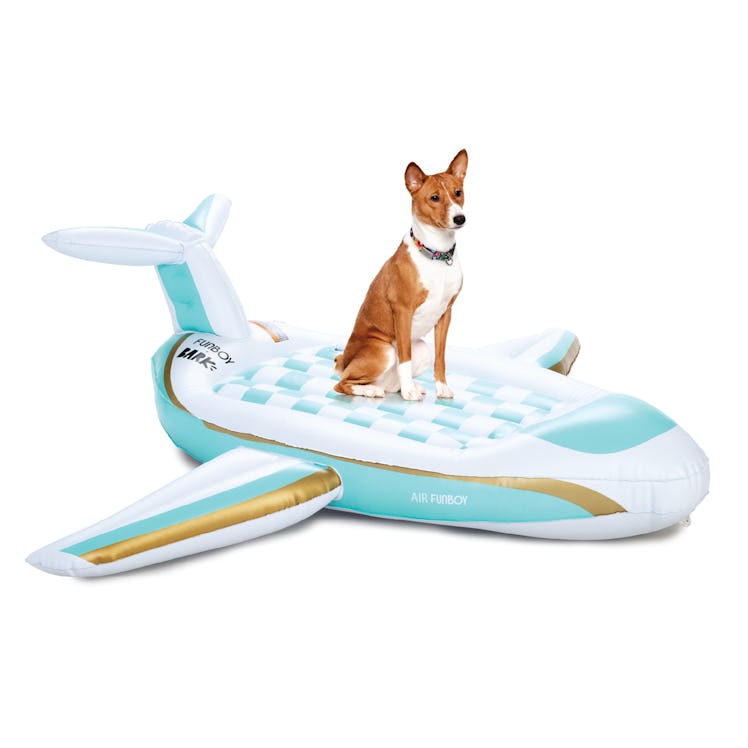 FUNBOY x Bark Private Jet Dog Float