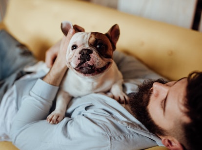 A picture of a French bulldog with his dog dad ahead of Father's Day 2021, in need of a cute Instagr...