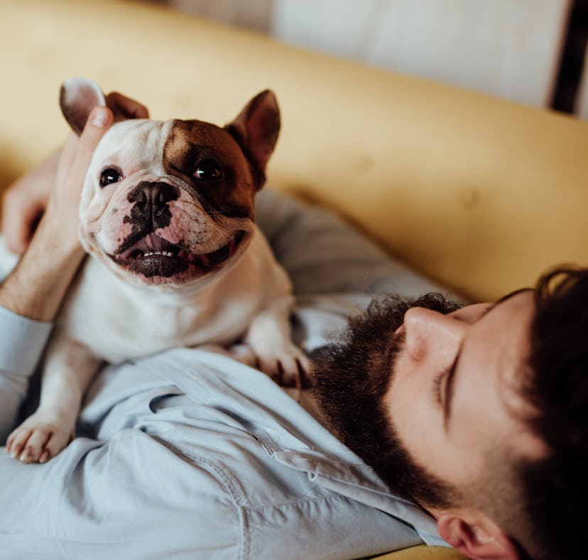 A picture of a French bulldog with his dog dad ahead of Father's Day 2021, in need of a cute Instagr...