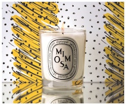 Diptyque Mimosa Candle Review 